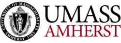 UMASS Amherst Online Graduate Certificate in Business Analytics