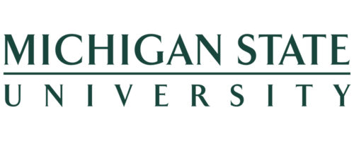 Michigan State MS in Marketing Research