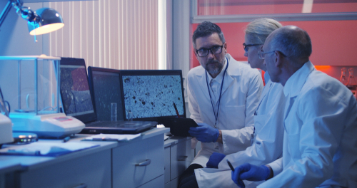 what is bioinformatics